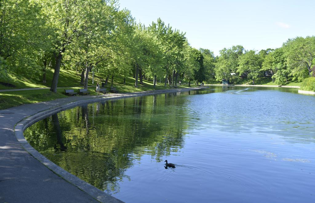 Auberge De La Fontaine Montréal Esterno foto